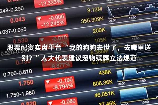 股票配资实盘平台 “我的狗狗去世了，去哪里送别？”人大代表建议宠物殡葬立法规范