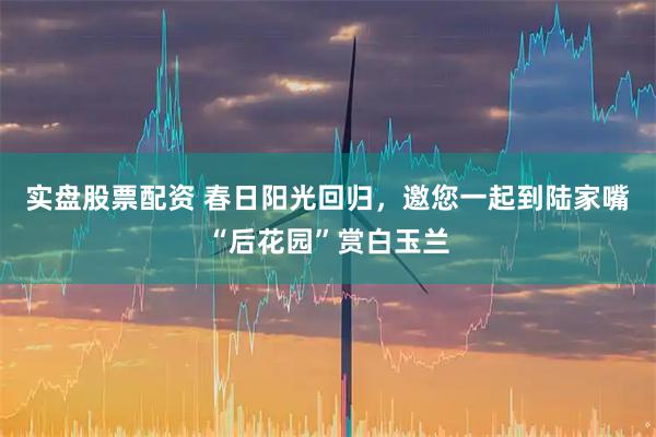 实盘股票配资 春日阳光回归，邀您一起到陆家嘴“后花园”赏白玉兰